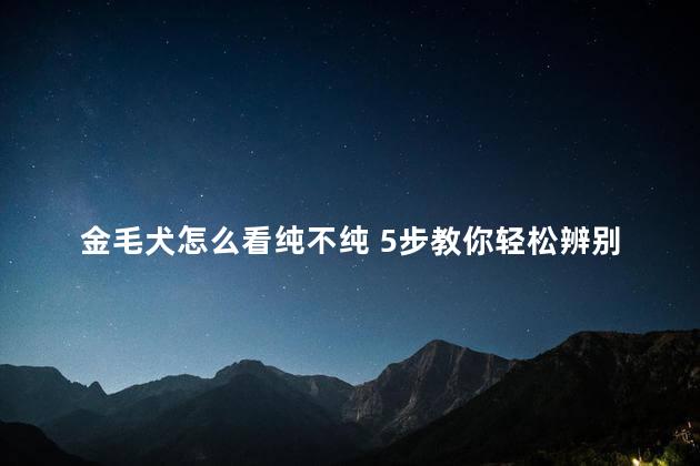 金毛犬怎么看纯不纯 5步教你轻松辨别，纯种金毛和串串金毛